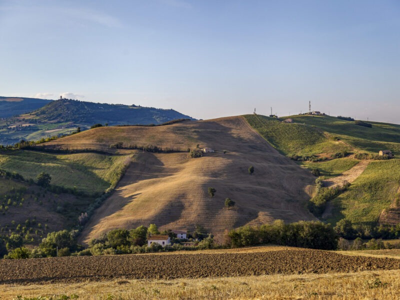 Hills of the Marche region near the Poltrona Frau In Motion facilities
